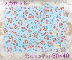 セット19【巾着袋・ランチョンマット ２点セット　　いちご】
