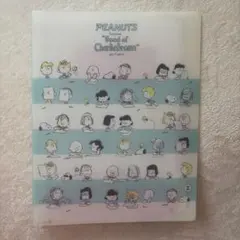PEANUTS スヌーピー　チャーリー・ブラウン ルーズリーフ入れ　ファイル