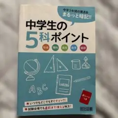 中学