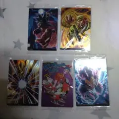 イタジャガ ブルマ