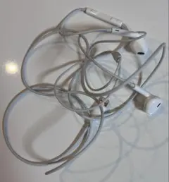 Apple EarPods Lightning端子