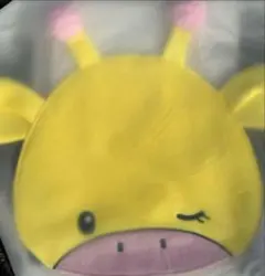 Super Junior 扇子收納盒 厲旭 未開封