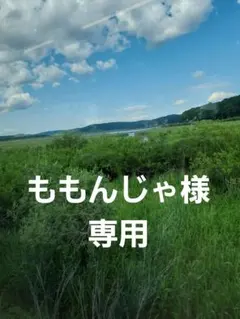 メルカリ 絵画　絵　 額付き (銀）油絵　uF6-060704　風景 メルカリ 絵画 絵 額付き (銀）油絵 uF6-060704 風景 メルカリ