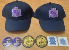 サンフレッチェ広島 レジーナ 入場特典 キャップ シール まとめ売り