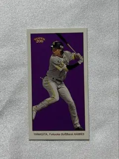 柳田悠岐　ソフトバンクホークス　topps206 99枚　限定　ミニカード