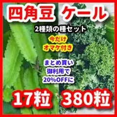 Fine様 リクエスト 2点 まとめ商品