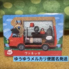 あつ森　amiiboカード+ヴァネッサ　匿名発送　新品　どうぶつの森
