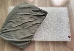 ブレインスリープ　枕&専用ピローカバー付き