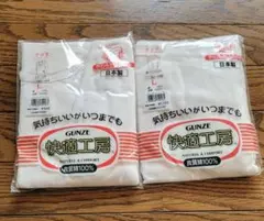 GUNZE 快適工房 Lサイズ 下着セット