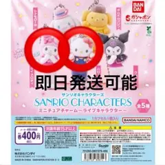 サンリオキャラクターズ ミニチュアチャーム　ライブキャラクター　キティ　マイメロ