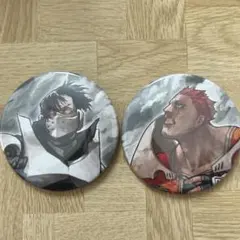 ヒロアカ 缶バッジ 2個セット
