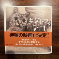 ⭐︎美品中古⭐︎ キジトラのテコ　フォトブック　船ヶ山哲