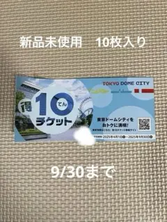 東京ドームシティアトラクション　10枚組 メニュー「東京ドームシティ 得１０（とくてん）チケット」（基本情報