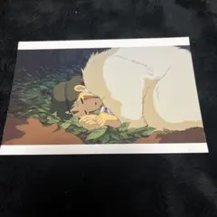 Item thumbnail for item 98b13e07-872b-499d-acb0-a03161d711c1