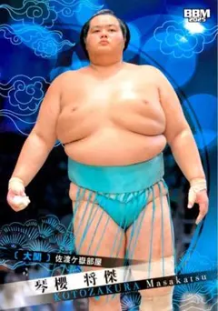 ねずみくん様 リクエスト 2点 まとめ商品