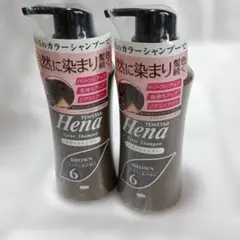 デンスターヘナ カラーシャンプー ブラウン 300ml 2本セットのサムネイル