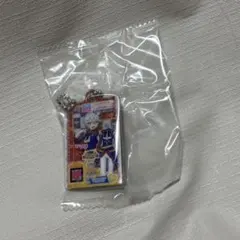 アイカツ！×プリパラ だれでもアクリルチャーム2　ひびき