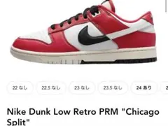 Nike Dunk Low Retro PRM 