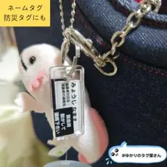 迷子札 防災カード ピータッチ オーダー ネームチャーム 個人情報保護