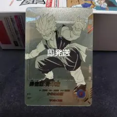 ドラゴンボールダイバーズ アドバンスパック　N☆ APT-009 孫悟飯 青年期