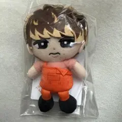 【匿名配送】 SnowMan すのチル ぬいぐるみ 向井康二