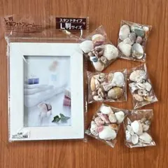 ハンドメイド用 フォトフレーム＆貝がら ②