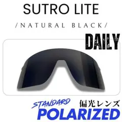 Item thumbnail for item 6166c447-30b2-4362-a1fd-413a5fc53f91