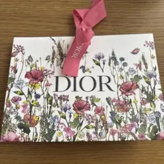 dior ギフト用ショッピングバッグ