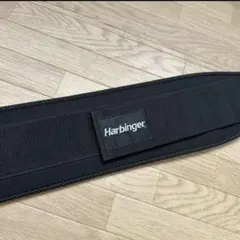 Item thumbnail for item 10ef83e9-dc9f-439b-81c1-62837767b96e