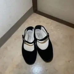 ドロゲリアクリベリーニ
