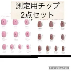 測定用チップ2点セット