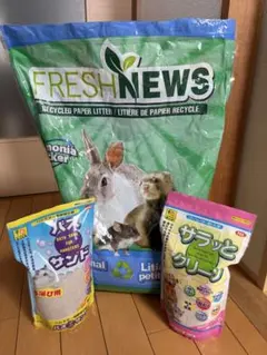 Item thumbnail for item c9f9c4c4-be1c-41ce-99df-dee4aa7825d2