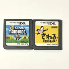 NEWスーパーマリオブラザーズDS & さわるメイドインワリオDS セット