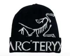 ビーニー y2k キャップ グランジ ブラック