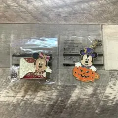 【即購入OK◎】東京ディズニーランド35周年 ピンバッジ&ハロウィンチャーム