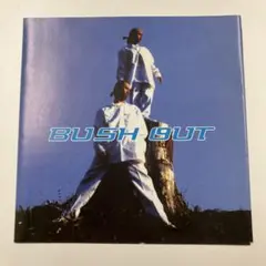 ACKEE & SALT FISH BUSH OUT レゲエ CD