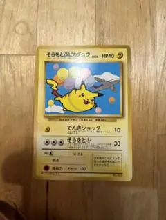 そらをとぶピカチュウ_ANA 「ジェットでゲットだ！Wチャンス