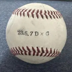 NPB公式球　2023 5.7 D x G