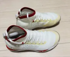 Item thumbnail for item 13f9702b-f8ad-4f83-9fc0-5767de9e7a39