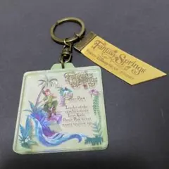 ファンタジースプリングス ピーターパン キーホルダー