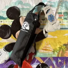 2025年最新】ディズニー 実写 日傘の人気アイテム - メルカリ