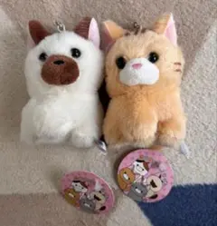プリモ　日本製　シャムネコ　ぬいぐるみ　中古品 Yahoo!オークション - プリモ 日本製 シャム猫 ぬいぐるみ ネコ