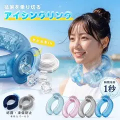 2026年最新 ネッククーラー 氷のうタイプ 冷温両用 新品・未使用 グレーのサムネイル