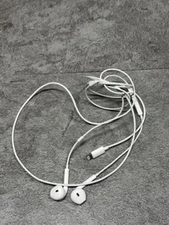 Apple EarPods Lightning