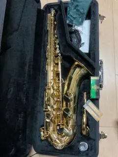 値下げ❗️伝説❗️Adolphe Saxの名を冠した アルトサックス - メルカリ