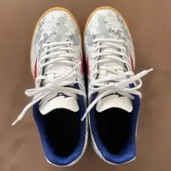 超美品Mizuno モナルシーダ NEO フットサル 23cm