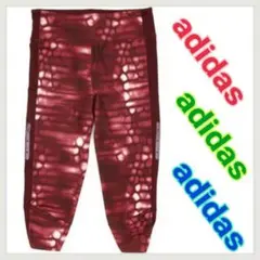 最終値下げ❗️美品☘️アディダス グラフィックタイツ スパッツ