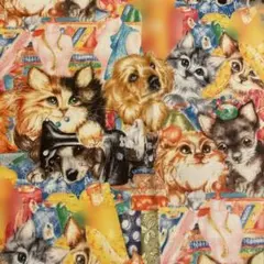 Item thumbnail for item d124b3dd-4b74-4ae1-b66f-91e6f2f0b643