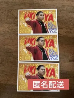 ランファンクエスト　LIKIYA ポストカードセット