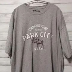 Ouray Park City Utah Tシャツ　XL　USA古着